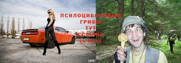 ECSTASY Армянск