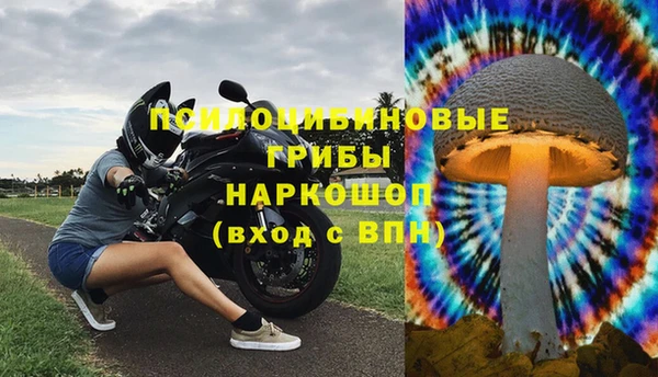 круглые Новодвинск